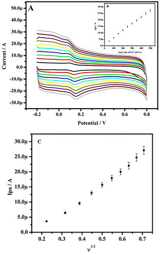 Figure 5. (a) Cyclic voltammogram of 10 µM CC in 0.2 M PBS of pH 7.4 at poly(nigrosine) MCPE with varied scan rate. (b) Graph of anodic peak current versus scan rate. (c) Graph of anodic peak current versus square root of scan rate.