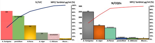 Figure 7. The MFC values (µg/ml) of N/CQDs and N/MC on Sorbitol media against both different fungal isolates.