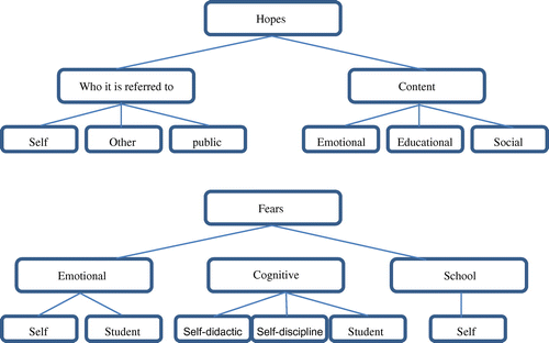 Figure 1. Themes and categories of hopes and fears.