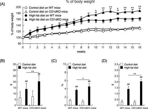 Figure 1 Body weight curve and epididymal adipose tissue volume after 16 weeks of CTD or HFD feeding. Mice were fed a CTD or HFD for 16 weeks. The body weights of mice were monitored every week (A). The body weight gain (in grams) of mice was measured at 16 weeks (B). The epididymal adipose tissue index of mice at 16 weeks (C). The epididymal adipose tissue gain (in grams) of mice was measured at 16 weeks (D). Five to six mice were evaluated per group. ##p<0.01 in comparison to the CTD-fed mouse group of the same mouse strain on the same day. **p<0.01, *p<0.05 in comparison to the HFD-fed mouse group, between WT mice and CD1dKO mice on the same day.