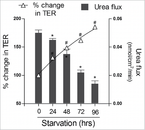 Figure 1. Autophagy enhances the epithelial barrier function. Filter-grown intestinal Caco-2 monolayers were incubated in starvation medium (Earle's balanced salt solution) to induce autophagy. Starvation significantly increased transepithelial resistance (TER) and progressively reduced urea flux (#, *, p < 0.01 vs. time 0). Adapted from Nighot et. al., 2015.