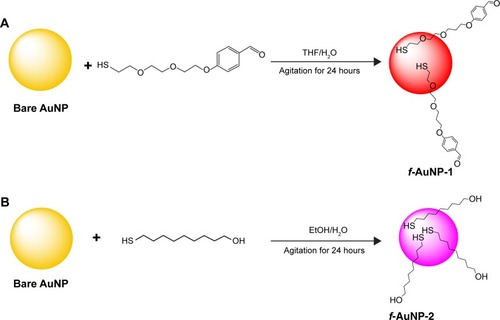 Figure 2 Functionalization of AuNPs with (A) 4-(2-(2-(2-mercaptoethoxy)ethoxy)ethoxy)benzaldehyde and (B) 9-mercapto-1-nonanol.Abbreviations: AuNPs, gold nanoparticles; EtOH, ethyl alcohol; THF, tetrahydrofuran.