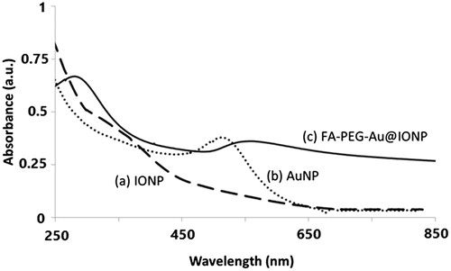 Figure 3. Absorption spectra of (a) Fe3O4 nanoparticles, (b) AuNPs, and (c) core–shell nanocomplex.