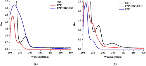 Figure 3. UV spectra characterisation for; (a) BSA, TZP, and TZP-EDC-BSA, and (b) KLH, TZP, and TZP-EDC-KLH.