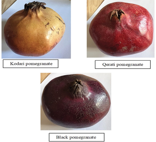 Figure 1. Picture of the three types of pomegranate that have been used.