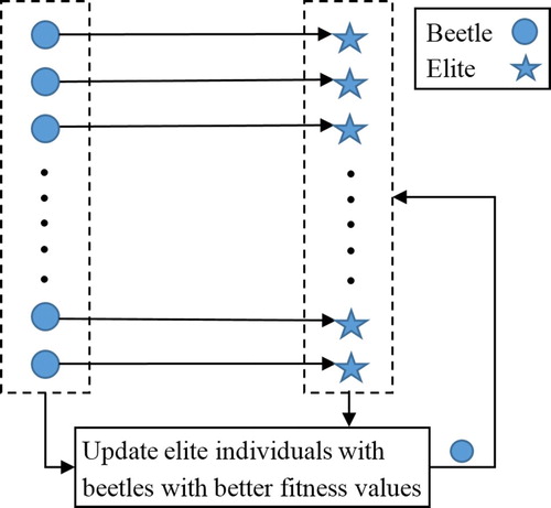 Figure 1. Relationship between beetles and elite individuals.