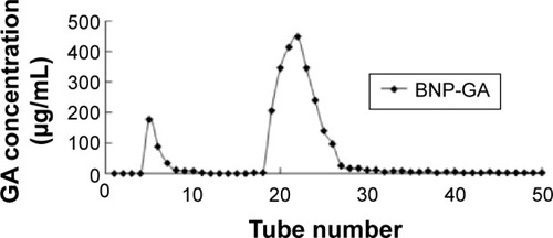 Figure 4 Flow curve on a Sephadex-50 column.Abbreviations: BNP, albumin nanoparticle; GA, glycyrrhetinic acid.