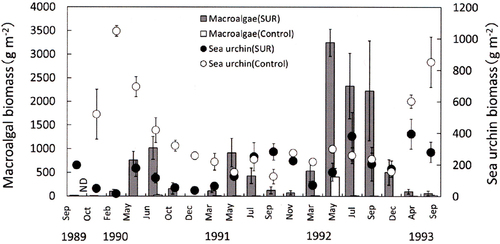 Fig. 6. Effects of sea urchin removal (SUR) on the biomass of macroalgae and sea urchins (g wet weight m−2, mean ± standard error) in the northwestern site (NW, Rishirifuji) of Hokkaido from September 1989 to September 1993 (SUR, n = 2–9; control, n = 3). ND, no data (September 1989).