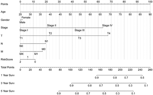 Figure 5. The nomogram was constructed from the clinicopathological data as well as the developed prognostic model