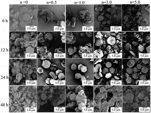 Figure 5. SEM images of various HAp/ZnO/APTES composite particles.