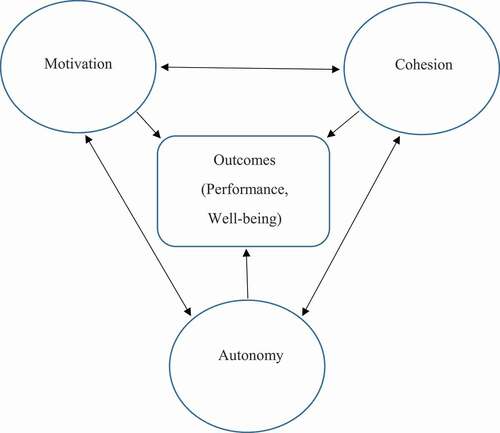 Figure 1. A relational diagram denoting the relationship between cohesion, autonomy, and motivation