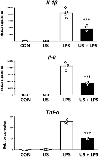 Figure 5 mRNA expression levels of pro-inflammatory factors measured by qPCR. Bone marrow-derived macrophages were stimulated with 100 ng/mL lipopolysaccharide (LPS) 3 h after ultrasound irradiation. ***p < 0.001 compared with LPS group (Tukey’s multiple comparison test). n = 4. Mean and individual data points are shown.