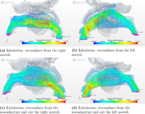 Figure 7. Airflow patterns for geometry 3 as indicated by streamlines during inhalation and exhalation.