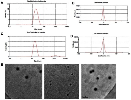 Figure 1 The size and morphology of the formulations: (A and B) are particle size distribution and zeta potential of GA-NLC, (C and D) are particle size distribution and zeta potential of c(RGD) peptides modified GA-NLC as determined by dynamic light scattering. E represents the TEM images of c(RGD) peptide modified GA-NLC (scale bar=200 nm).