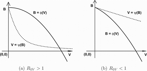 Figure 1. The graphs of functions B=φ(v) and V=ψ(B).