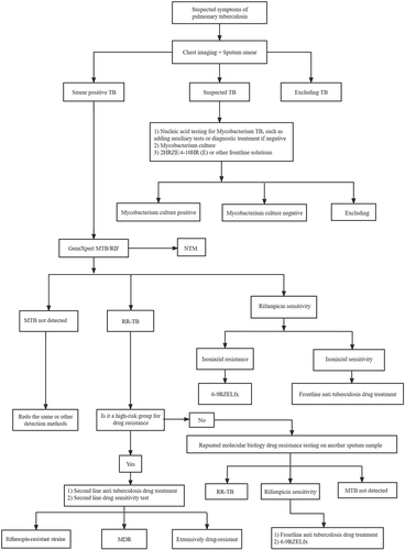 Figure 1 Diagnosis and Treatment Flow Chart of Pulmonary Tuberculosis Patients.