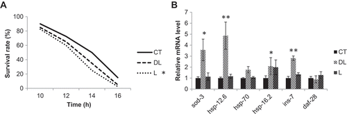 Figure 4. Nematode survival rate and gene expression during thermal stress The synchronized nematodes were given odor stimulation for 24 h. A: The nematodes were cultured at 35°C and the survival rate was measured 10 h after heat treatment. The vertical axis indicates the percent survival rate, and the horizontal axis indicates time. CT: DMSO, DL: 1% dl-linalool, L: 1% l-linalool, N = 40, *p < 0.05. B: Gene expression was examined using quantitative PCR. The vertical axis represents the mRNA expression level relative to the internal actin control, and the horizontal axis represents each gene analyzed. The graph represents the mean ± standard error. CT: DMSO, DL: 1% dl-linalool, L: 1% l-linalool, N = 3, *p < 0.05, **p < 0.01.Odor stimulation by Linalool (DL, L) reduced fat accumulation in nematode. Furthermore, Linalool odor increased the heat stress tolerance of nematode via insulin/IGF-1 (IIS) signal pathway.