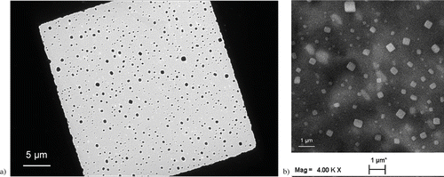FIG. 12 Examples of NaCl particle deposition onto: (a) TEM grid (b) aluminum foil media (SEM image).