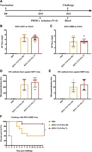 Figure 4. Immunogenicity and protection against HPAI H5N1-D889 virus. (A) Animal experimental 2 design for immunization and challenge. The serum samples from each group of vaccinated chickens were collected at 3 weeks post-vaccination. (B) HI titres against H5N1-SD57 virus. (C) HI titres against H5N1-D889 virus. Neutralizing antibodies from each group (n = 4) were measured by neutralization assay, (D) Neutralizing antibodies titres against 100 TCID50 of H5N1-SD57 virus. (E) Neutralizing antibodies titres against 100 TCID50 of H5N1-D889 virus. (F) Groups of chickens were intranasally challenged with 106.0 EID50 of the antigenically divergent H5N1-D889 virus. Survival rates of the chickens after challenge. PBS group (n = 5), vaccine group (n = 10). *p < 0.05 by Log-rank (Mantel–Cox) test.