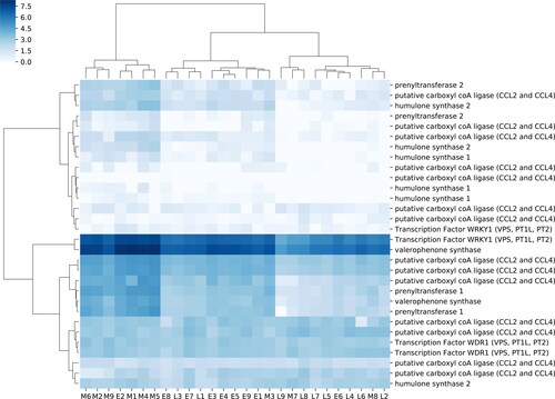 Figure 4. A heatmap of gene expression patterns based on FPKM with hierarchical clustering of expression based on sample and transcript.