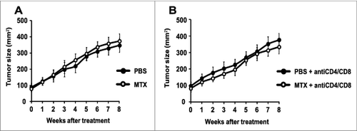 Figure 2. Failure of autophagy-deficient melanomas to respond to chemotherapy. Melanomas were induced by adding tamoxifen on the shaved back of mice with the Tyr::CreERT2;Ptenfl/fl;BRafCA/+;Atg7fl/fl genotype. Once the tumors had reached a surface of approximately 100 mm2 (day 0), melanomas were treated by intraperitoneal injections of mitoxantrone (MTX) or vehicle (PBS) every 2 weeks, starting on day 0. Tumor growth was monitored with a caliper for 8 weeks. To assess the impact of the cellular immune system, mice were treated i.p. with PBS (A) or a mix of αCD4 and αCD8 antibodies (B) at different times days −3, 0, 1, 3, 5, 8, 15, 22, 29, 36, 43, 50). Experiments were done on 15 mice per group. Results are reported as means ± SEM. *p < 0.05 (unpaired Student's t test).