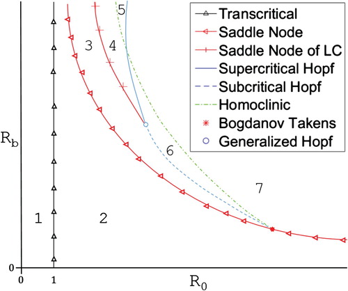 Figure 4. Cartoon of the R0-Rb bifurcation diagram for system (Equation10(10) I˙=βh(A)(1−I)I−γI,A˙=αI(1−A)A2δ2+A2−ξA.(10) ) when δ=0.55. The bifurcation curves break the parameter space into seven distinct regions. Brief descriptions of these regions can be found in Table 2.