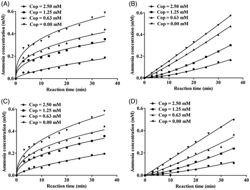 Figure 4. Reaction progress curves of urease-catalysed hydrolysis of urea in the presence or absence of coptisine (Cop). Reaction progress curves in the non-pre-incubated (A: HPU; B: JBU) and pre-incubated systems (C: HPU; D: JBU). Curves were obtained by measuring concentration of ammonia versus incubation time. The concentrations of Cop were 0, 0.63, 1.25, and 2.50 mM.