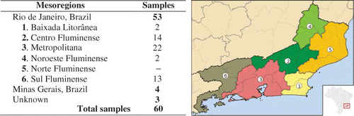Figure 1 Numbers of samples collected in the states of Rio de Janeiro and Minas Gerais, Brazil. (Colour figure available online.)