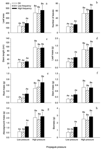 Figure 2. Effects of the frequency of nitrogen addition and propagule pressure on the growth measures (mean ± SE, n = 6) of Solidago canadensis. Means that share the same letter are not different at P < 0.05 within different frequencies of nitrogen addition.