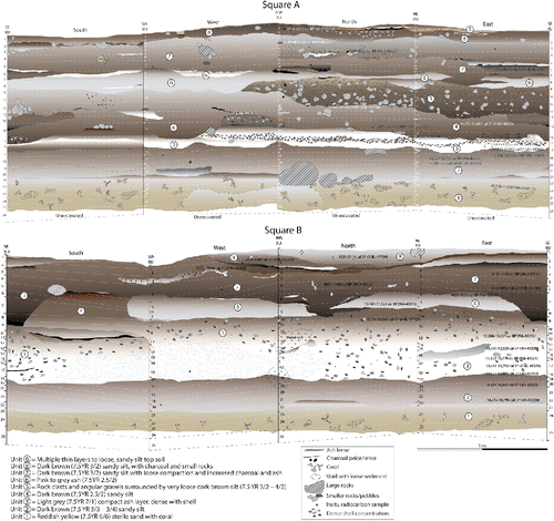 Figure 4 Stratigraphy of HSE, Square A (above) and Square B (below). Stratigraphic units numbered within the image, spits numbered down the vertical axis.
