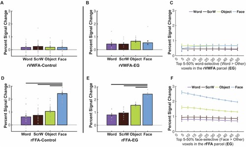 Figure 3. Responses to four conditions in the rVWFA and rFFA for EG and the control group. (A) Bar plots show mean PSCs to the four conditions estimated in independent data within individually defined rVWFA fROIs (i.e., top 10% word-selective voxels within the rVWFA parcel) for the control group. (B) Mean PSCs to the four conditions estimated in independent data within the individually defined rVWFA fROI for EG. Here and in E, the results are averaged across run combinations. (C) Parametrically decreasing the threshold for defining the rVWFA fROI from the top 5% to 50% word-selective voxels within the rVWFA parcel. Number of voxels in the rVWFA fROIs: 5% = 269 voxels, 50% = 2690 voxels. Here and in F, average PSCs across run combinations are shown for each threshold. (D) Mean PSCs to the four conditions estimated in independent data within individually defined rFFA fROIs for the control group. (E) Mean PSCs to the four conditions estimated in independent data within the individually defined rFFA fROI for EG. (F) Parametrically decreasing the threshold for defining the rFFA fROI from the top 5% to 50% face-selective voxels within the rFFA parcel. Number of voxels in the defined rFFA fROIs: 5% = 67 voxels, 50% = 672 voxels. In the bar plots, dots correspond to individual data points for each condition (controls: n = 25 participants; EG: n = 10 run combinations, from ten iterations). Horizontal bars reflect significant paired t-tests p < 0.05. Error bars in both the bar and line plots denote standard errors of the mean by participants (for the control group) and by run combinations (for EG). Words = Written Words; ScrW = Scrambled Words.