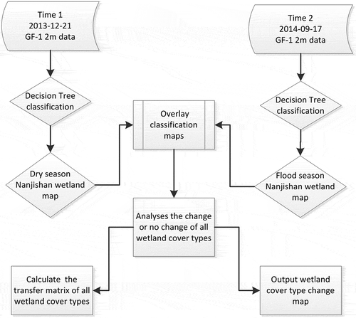 Figure 6. The workflow of dynamic change detection.