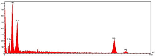 Figure 1. EDS analysis of NiNPs.