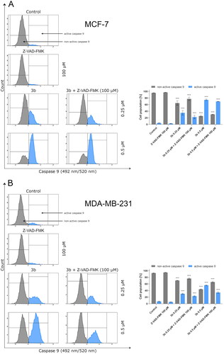 Figure 9. The activity of caspase 9 in MCF-7 (A) and MDA-MB-231 (B) breast cancer cells incubated with 3b (0.25 μM and 0.5 μM) in the absence and presence of Z-VAD-FMK (100 μM) for 24 h. Mean percentage values from three independent experiments done in duplicate are presented. ***p < 0.001 vs. control group.