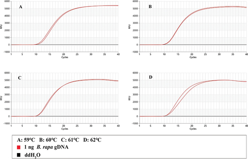 Figure 2. Temperature optimization of the Proofman-LMTIA reaction.