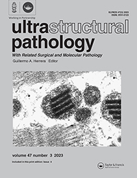 Cover image for Ultrastructural Pathology, Volume 47, Issue 3, 2023
