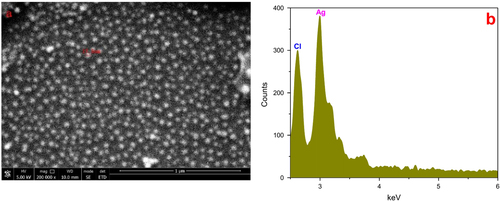 Figure 7. (a) FESEM image of silver nanoparticles, which were 5–20 nm in size, spherical, and well dispersed. (b) EDX spectrum of samples recorded in the area-profile mode, which clearly shows the Ag signals.