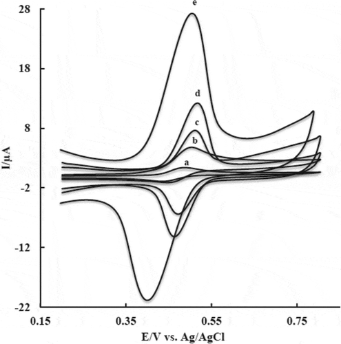 Figure 3. Cyclic voltammograms of bare GCE (curve a), CS/GCE (curve b), MWCNT/GCE (curve c), CS/MWCNT/GCE (curve d), and Cu-CS/MWCNT/GCE (curve e) in 0.04 M BR buffer solution (pH 3) containing 10 mM rutin; scan rate 100 mV s-1.