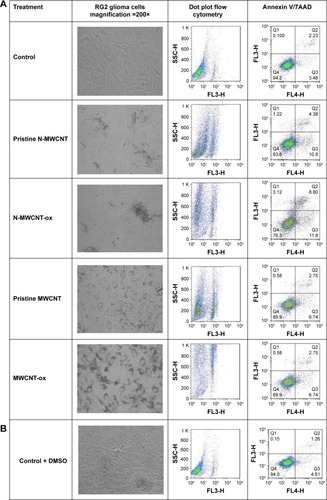 Figure 5 Effect of treatment with MWCNTs and TMZ in RG2 glioma cells.Notes: MWCNTs are well phagocytosed by RG2 glioma cells (A). TMZ treatment does not affect the capacity of RG2 glioma cells to phagocytose MWCNTs (B). The representative images of RG2 glioma cells by light microscopy and FACS dot plots are shown. The microscopy images show that the cells endocytosed the four different MWCNTs used (A) and MWCNTs used in combination with TMZ, and the first row of dot plots shows the increase in size of the RG2 glioma cells due to the increase in the number of MWCNTs endocytosed. The second line of dot plots shows the representative images of the induction of apoptosis and necrosis by different MWCNTs endocytosed by RG2 cells.Abbreviations: MWCNT, multiwalled carbon nanotube; TMZ, temozolomide; N-MWCNT, nitrogen-doped MWCNT; N-MWCNT-ox, acid-treated nitrogen-doped MWCNT; MWCNT-ox, acid-treated MWCNT.