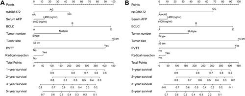 Figure 10 The nomogram of ACBD4-rs4986172 and clinical parameters in the Guangxi HBV-related HCC cohort. (A) AA, AG and GG genotypes in HBV-related HCC; (B) AA+AG and GG genotypes in HBV-related HCC.