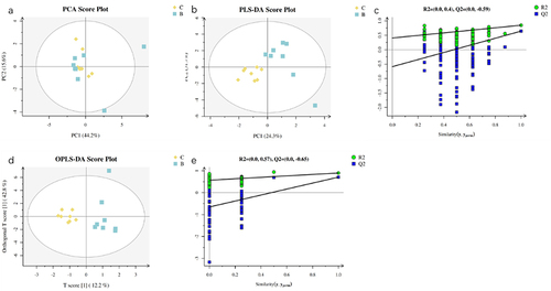 Figure 5 Metabolomics analysis of hippocampus in L group and DM group using LC-MS. (a) is the PCA score plot. (b and c) are the PLS-DA score plot with replacement test between group L and DM. (d and e) are the OPLS-DA score plot with replacement test between group L and DM. The yellow diamond is the L group, and the blue square is the DM group. n = 8 per group.