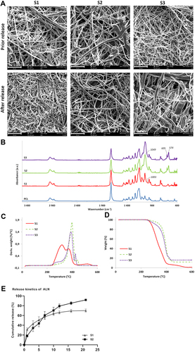 Figure 2 Scanning electron microscopy of prepared scaffolds prior and after performing ALN release study (A), scale bar 20 µm. FTIR spectra of S1 (ALN+, HA-, P31R1-), S2 (ALN+, HA+, P31R1+) and S3 (ALN-, HA+, P31R1+) samples compared to PCL nanofibres without incorporated additives (B). TGA thermographs of samples S1, S2 and S3 expressed as residual weight (%) (C) and weight derivative (%/ °C) (D) curves. Cumulative release of ALN from the scaffolds (E). Sample S3 did not contain ALN; therefore, the release study was not performed.