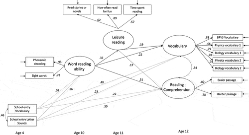 Figure 2. Mediation model showing standardized coefficients for the association between word reading efficiency (age 10), leisure reading (age 11), reading comprehension and vocabulary (age 12).