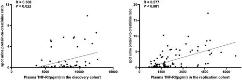 Figure 3. Correlation of plasma sTNF-RI and urine protein-to-creatinine ratio in LN patients of the discovery cohort and in the replication cohort.