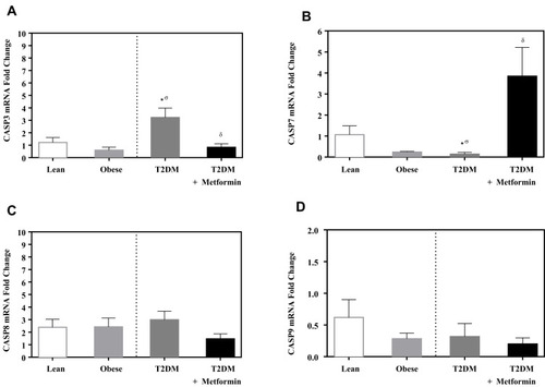 Figure 4 mRNA expression of three caspases in PBMC of lean, obese, T2DM and T2DM on metformin: (A) CASP3; (B) CASP7; (C) CASP8; and (D) CASP9. Results are presented as mean ± S.E.M. *P < 0.05 vs lean subjects; σP < 0.05 vs obese subjects; δP < 0.05 vs T2DM subjects.