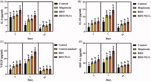 Figure 6. Effect of REO and REO-NLCs gels on IL-3 (A) IL-10 (B), VEGF (C) and SDF-1α (D) on different days. Six animals in each group. Superscripts (a–b) show significant differences between other groups and control sham.