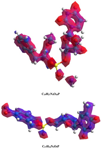 Figure 18. Electrostatic potential maps for C19H27N4O10P and C17H16N3O9P molecules obtained using PM3 method.