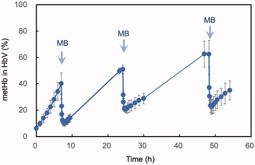 Figure 2. Time course of the level of ferric metHb% of HbV after intravenous administration into rats. MB was injected three times at the time points indicated with arrows, and the level of metHb% decreases spontaneously at each time. Mean ± SD (n = 3).