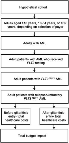 Figure 1. Model framework. Abbreviations. AML, acute myeloid leukemia; FLT3mut+, FMS-like tyrosine kinase 3 mutation-positive.