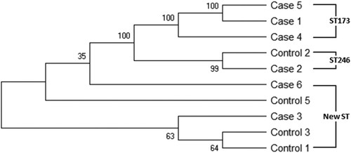 Figure 4. MLST phylogenic tree of toxin-positive K. oxytoca isolates obtained from six NEC cases and four non-NEC controls. Phylogenetic tree is constructed based on seven housekeeping genes of K. oxytoca using neighbor-jointing approach. The numbers at the nodes represent bootstrap confidence values based on 1000 replicates. ST numbers are also indicated. New ST: novel sequence type.
